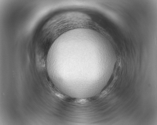 X0000060760431200512011519