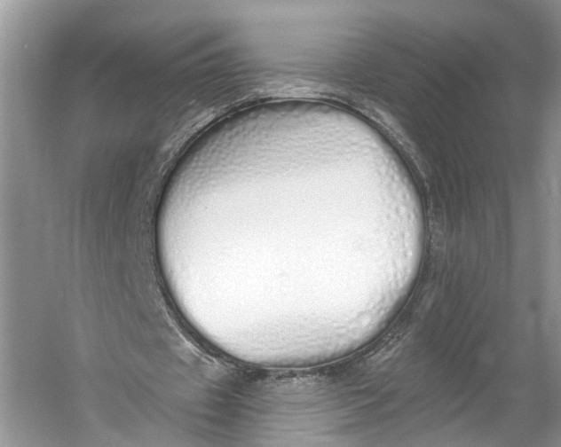 X0000060760433200512011518