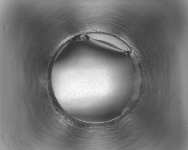 X0000060760434200512011518