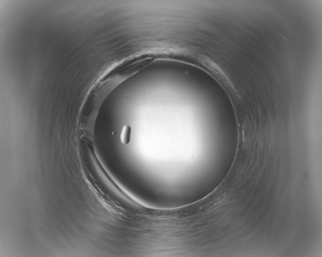 X0000060760436200512011518