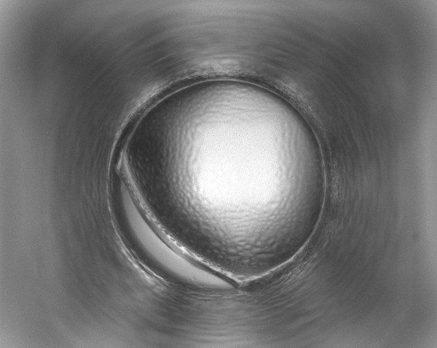 X0000060760439200512011518