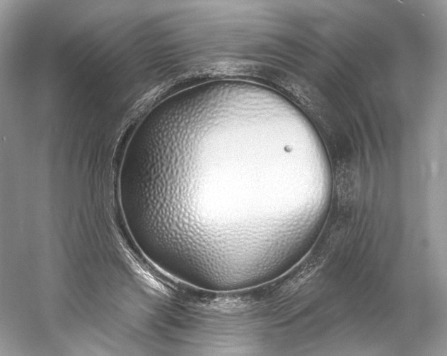 X0000060760445200512011518