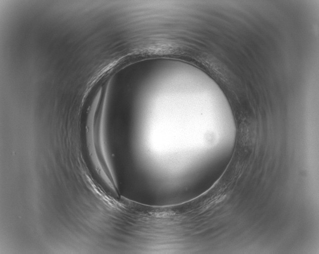 X0000060760446200512011518