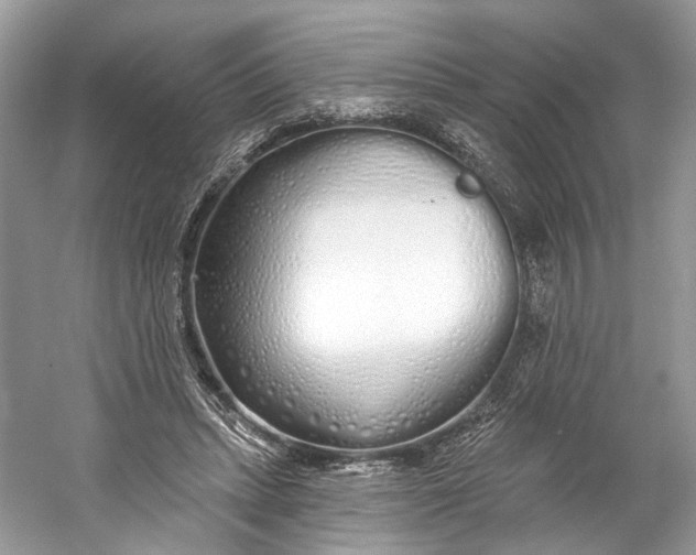 X0000060760447200512011518