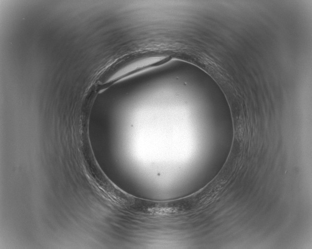 X0000060760448200512011518