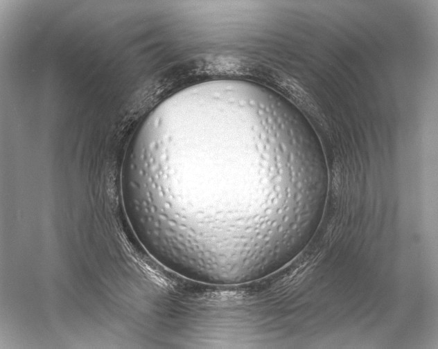 X0000060760449200512011518
