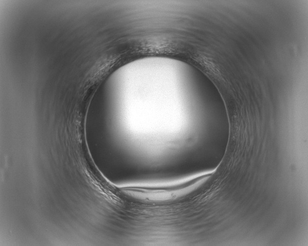 X0000060760450200512011518