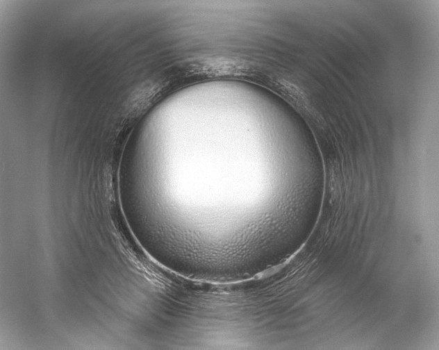 X0000060760453200512011518