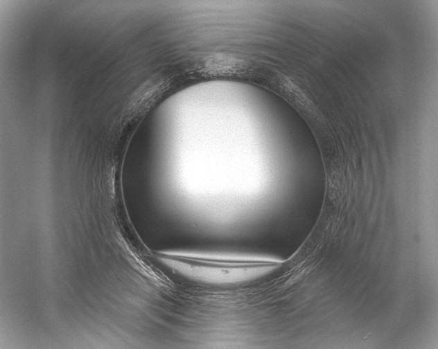 X0000060760454200512011518