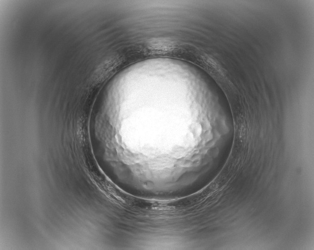 X0000060760455200512011518