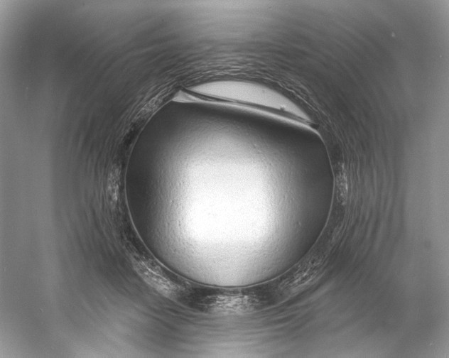 X0000060760458200512011518