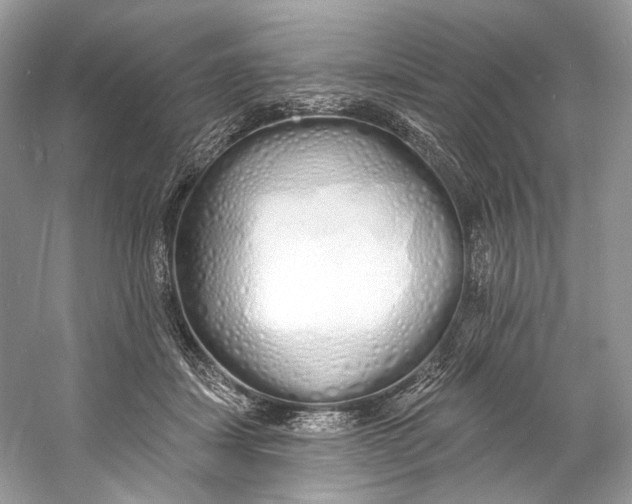 X0000060760459200512011518