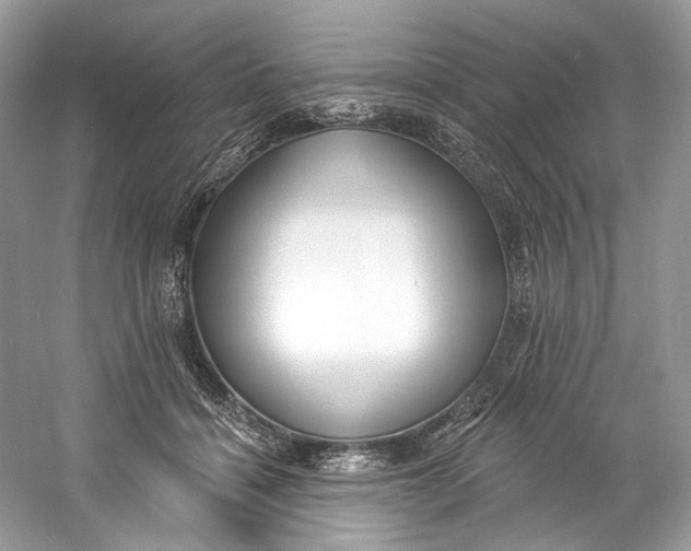 X0000060760460200512011518