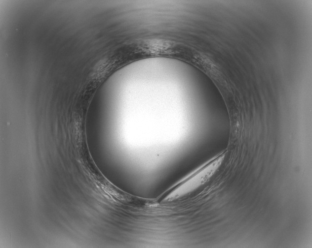 X0000060760461200512011518