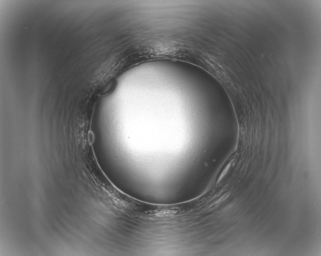 X0000060760462200512011518