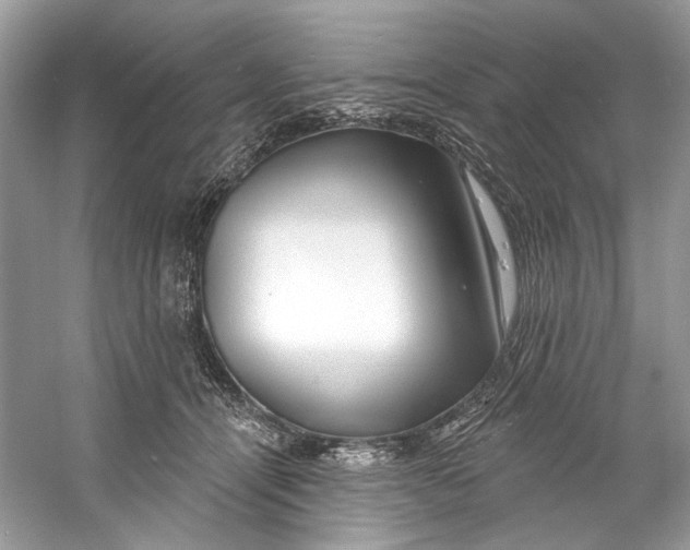X0000060760464200512011518