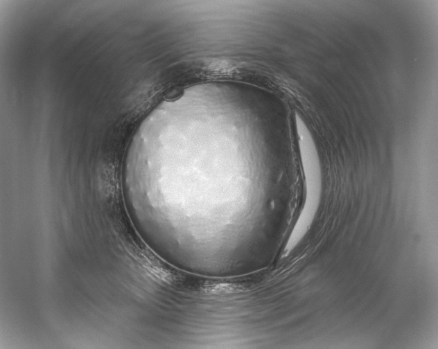 X0000060760467200512011518