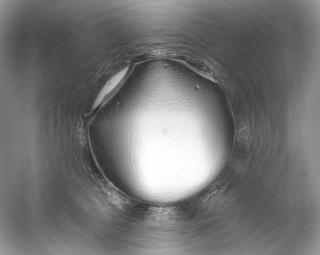 X0000060760469200512011518