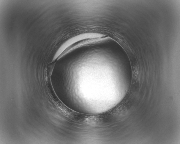 X0000060760470200512011518