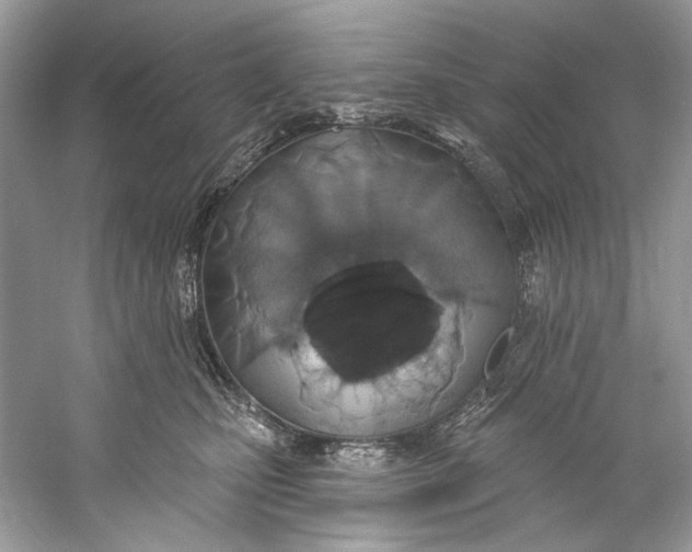 X0000060760471200512011518
