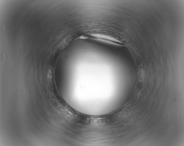 X0000060760472200512011518