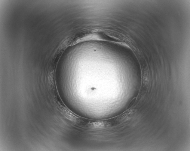 X0000060760473200512011518