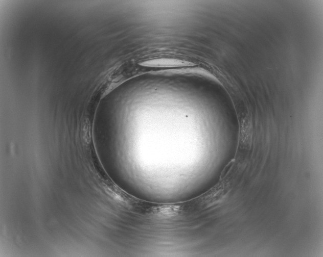 X0000060760474200512011518