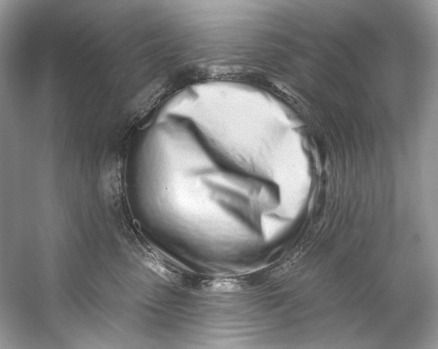 X0000060760475200512011518