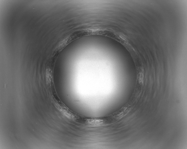 X0000060760476200512011519