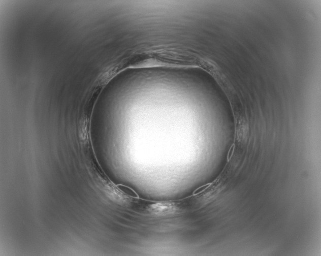 X0000060760477200512011519