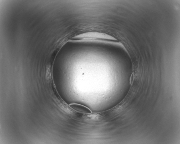 X0000060760478200512011519