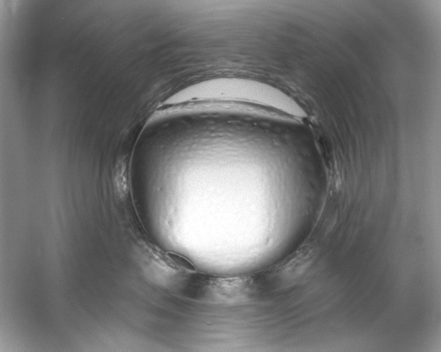 X0000060760479200512011519