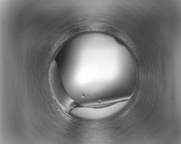 X0000060760481200512011518