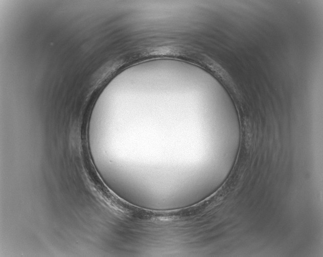 X0000060760482200512011518