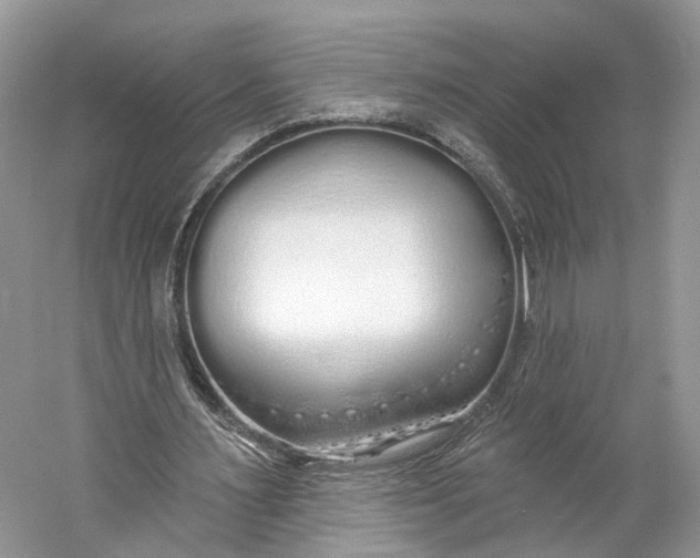X0000060760483200512011518
