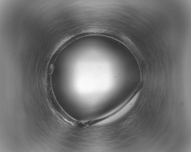 X0000060760484200512011518