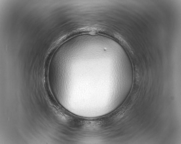 X0000060760486200512011518