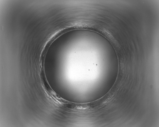 X0000060760488200512011518