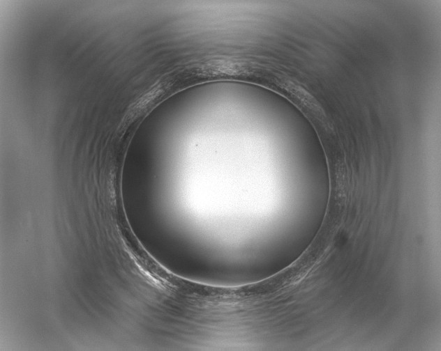 X0000060760489200512011518