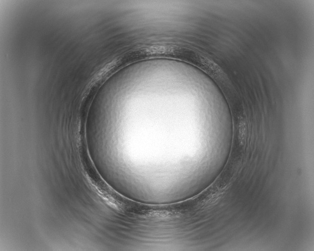 X0000060760490200512011518