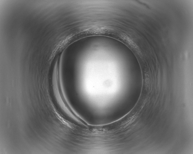X0000060760493200512011518