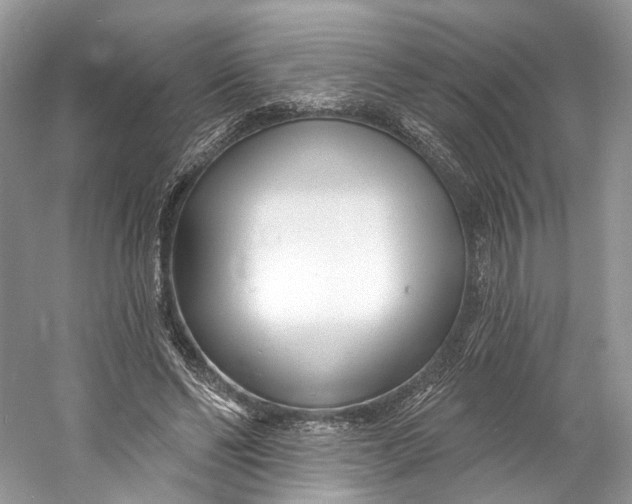X0000060760494200512011518