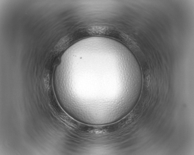 X0000060760498200512011517