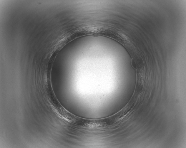 X0000060760500200512011517