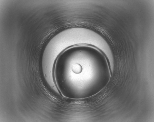 X0000060760501200512011517