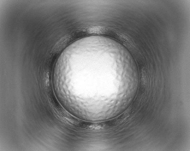 X0000060760502200512011517