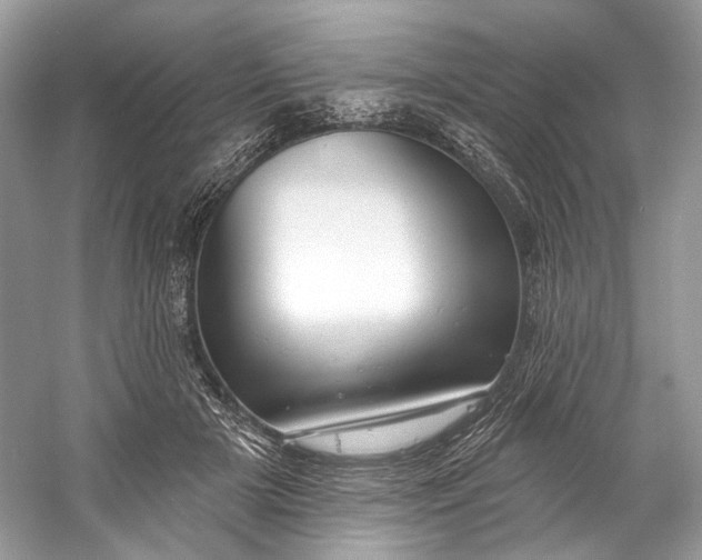 X0000060760505200512011517