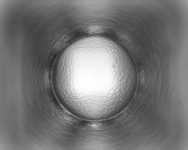 X0000060760506200512011517