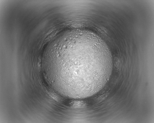 X0000060760507200512011517