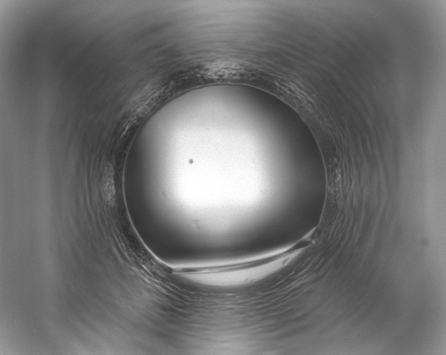 X0000060760508200512011517